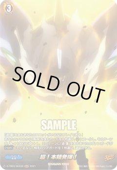 【SKR仕様(R)】超！本領発揮！[VG_D-TB03/SKR36SKR]