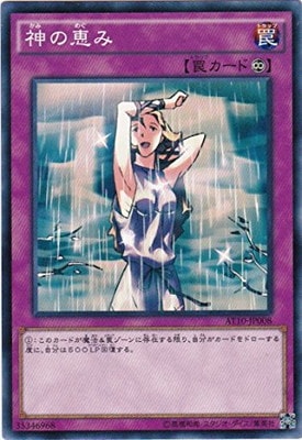 神の恵み AT10-JP008