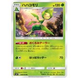 PK-SM11-008 ハハコモリ U