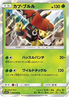 PK-SM7A-009 カプ・ブルル R
