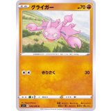 PK-S5I-030 グライガー C