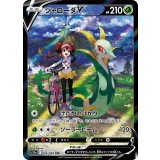 084/068 CSR ジャローダV