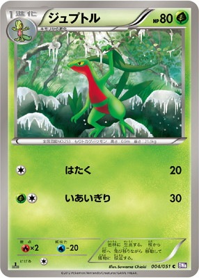 PK-BW08F-004 ジュプトル C