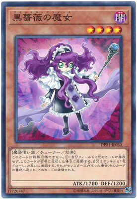 黒薔薇の魔女 DP21-JP030