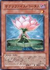 サクリファイス・ロータス PTDN-JP004