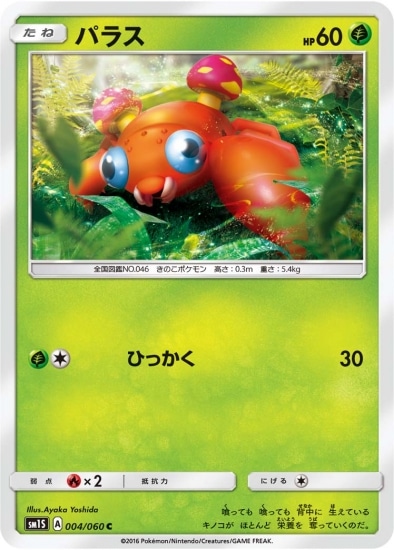 PK-SM1S-004 パラス C