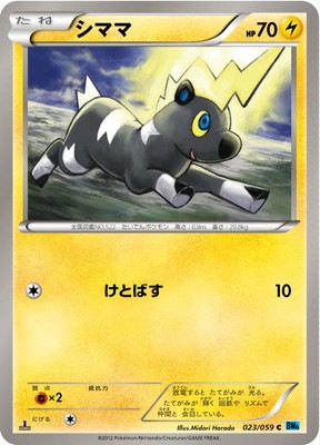 PK-BW06V-023 シママ C