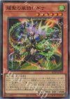 耀聖の風詩レギナ BLZD-JP014
