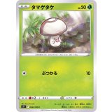 PK-S11-008 タマゲタケ C