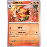 PK-SV1a-015 カエンジシ U