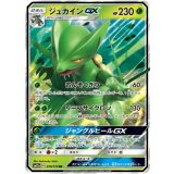 010/173 RR ジュカインGX
