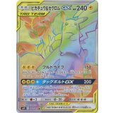 PK-SM9-112 ピカチュウ&ゼクロムGX HR