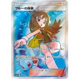 196/173 SR ブルーの探索