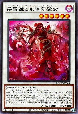 黒薔薇と荊棘の魔女 DOOD-JP040