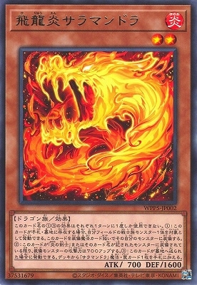 飛龍炎サラマンドラ WPP5-JP002