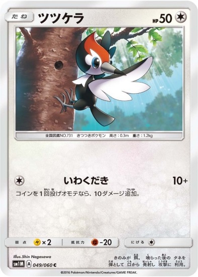PK-SM1M-049 ツツケラ C