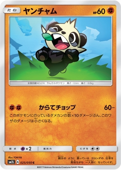 PK-SM2L-025 ヤンチャム C