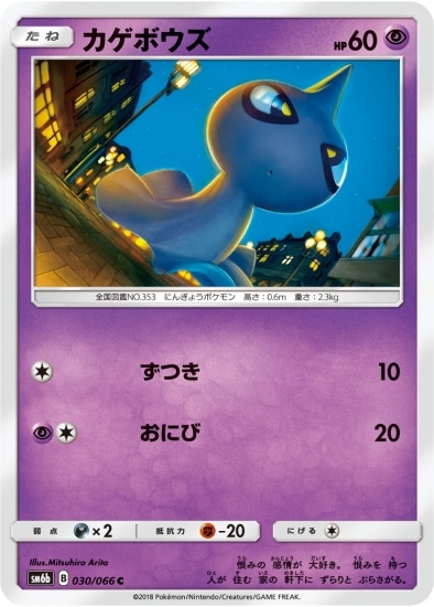 PK-SM6B-030 カゲボウズ C