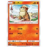 PK-SM10-008 ガーディ C