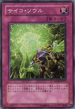 サイコ・ソウル ANPR-JP077