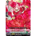 ブルーミングペタル カリオフィルス D-BT03/051
