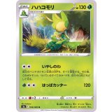 PK-S6a-006 ハハコモリ U