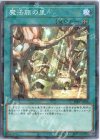 魔法族の里 [SSB1-JP036]