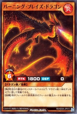 RD/SD0A-JP015 輝岩竜