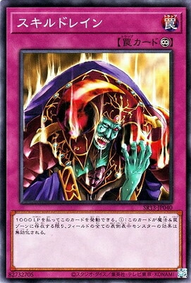 スキルドレイン SR13-JP040