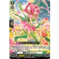 愛幸の乙女 ラーレィ DZ-BT08/100