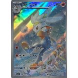 106/102 AR ラビフット