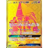 PK-SM8B-247 カプ・テテフGX UR