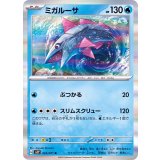 PK-SV2P-023 ミガルーサ R
