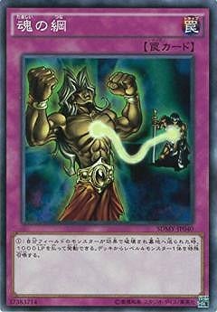 魂の綱 SDMY-JP040
