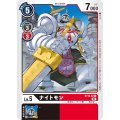 ナイトモン ST13-12