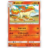 PK-SM9-017 ギャロップ C