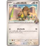 PK-SV9a-054 ペパーのホシガリス C