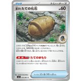 【M5】【C】【072/081】古びたたての化石