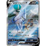 073/070 SR はくばバドレックスV
