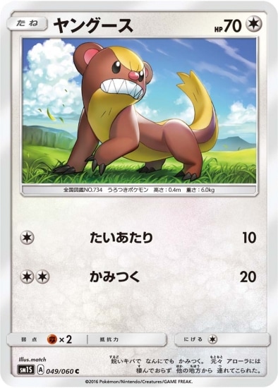 PK-SM1S-049 ヤングース C