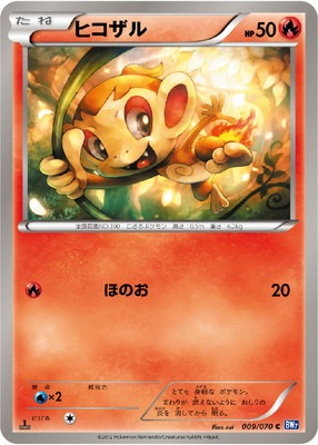 PK-BW07-009 ヒコザル C