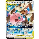 073/095 RR メガミミロップ＆プリンGX