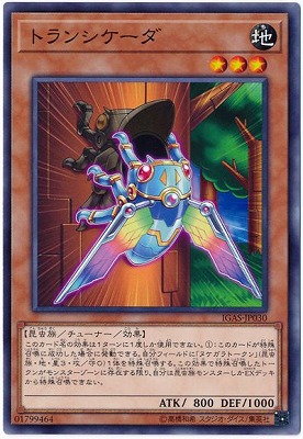 トランシケーダ IGAS-JP030