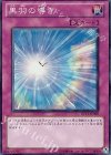 黒羽の導き DP11-JP029