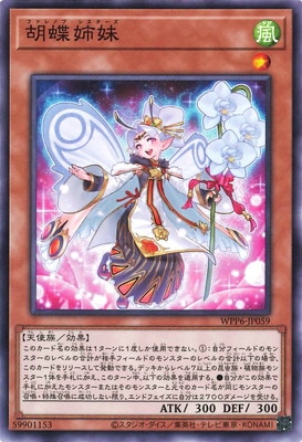 胡蝶姉妹 WPP6-JP059
