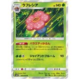 PK-SM10-004 ラフレシア R