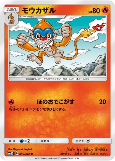 PK-SM5S-019 モウカザル C