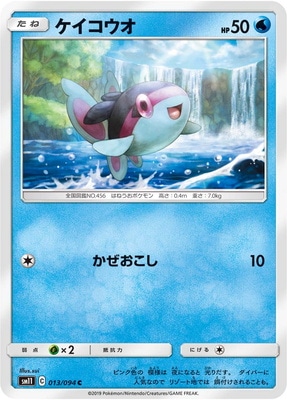 PK-SM11-013 ケイコウオ C