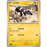 PK-SV8-038 シママ C