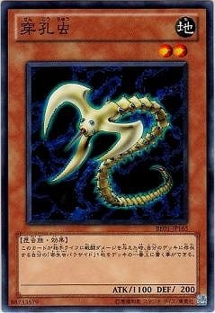 穿孔虫 BE01-JP165
